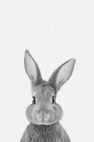 Rabbit Portrait by Justinas Jokubauskas on GIANT ART - black photo manipulation