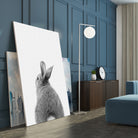 Rabbit Tail by Justinas Jokubauskas on GIANT ART - black photo manipulation