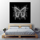 Black and White Butterfly Design by Brigitte Carre on GIANT ART - black digital painting