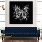 Black and White Butterfly Design by Brigitte Carre on GIANT ART - black digital painting