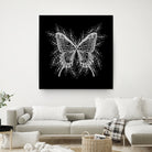 Black and White Butterfly Design by Brigitte Carre on GIANT ART - black digital painting