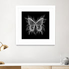 Black and White Butterfly Design by Brigitte Carre on GIANT ART - black digital painting