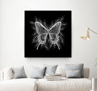 Black and White Butterfly Design by Brigitte Carre on GIANT ART - black digital painting