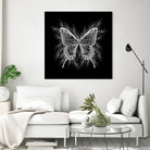 Black and White Butterfly Design by Brigitte Carre on GIANT ART - black digital painting