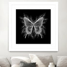 Black and White Butterfly Design by Brigitte Carre on GIANT ART - black digital painting