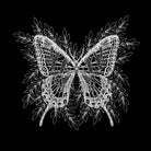 Black and White Butterfly Design by Brigitte Carre on GIANT ART - black digital painting