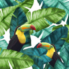 Toucans Tropical Banana Leaves Pattern by Brigitte Carre on GIANT ART - green digital painting