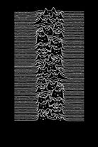 Furr Division by Tobias Fonseca on GIANT ART - black digital drawing