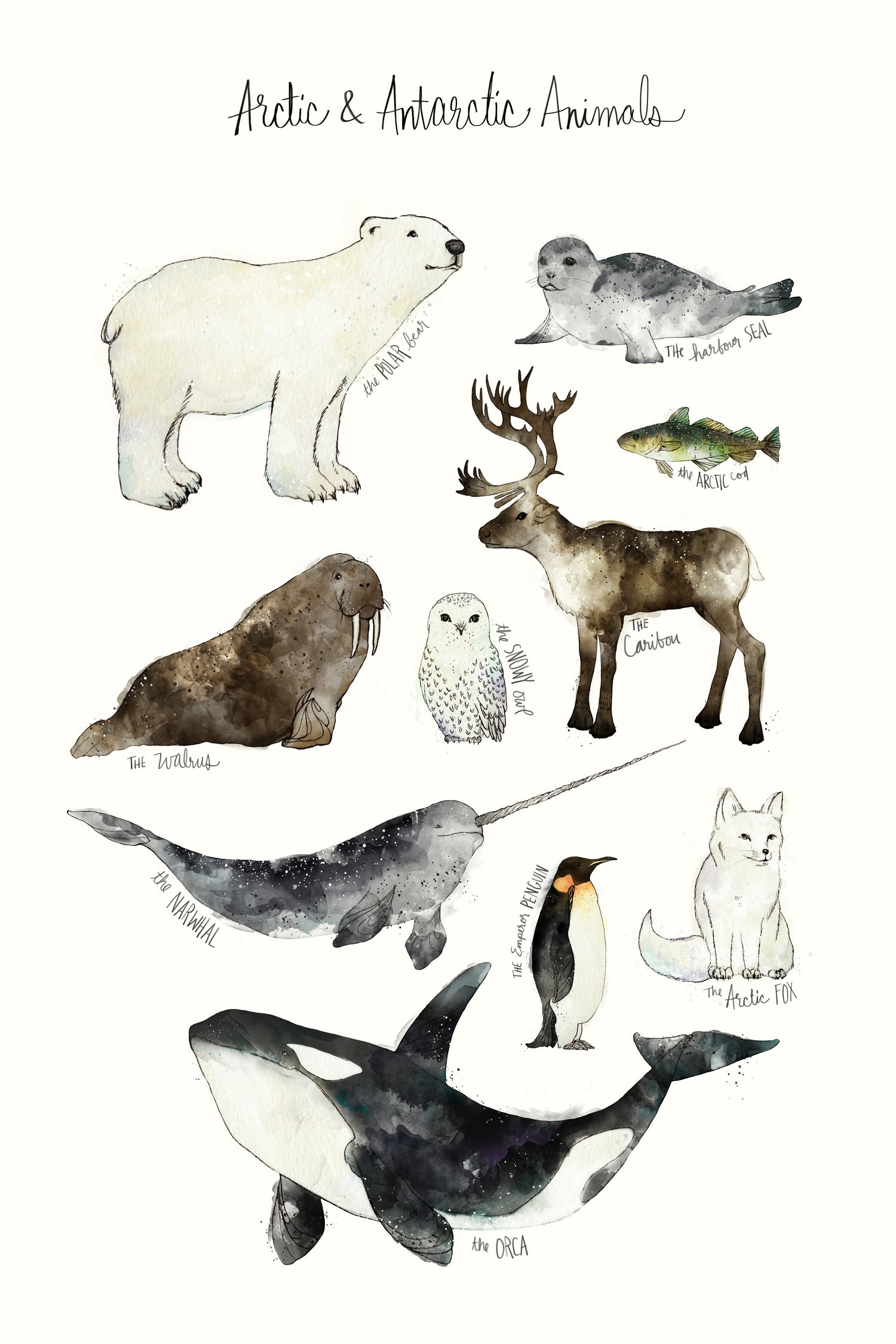 Arctic & Antarctic Animals by Amy Hamilton on GIANT ART - blue mixed media