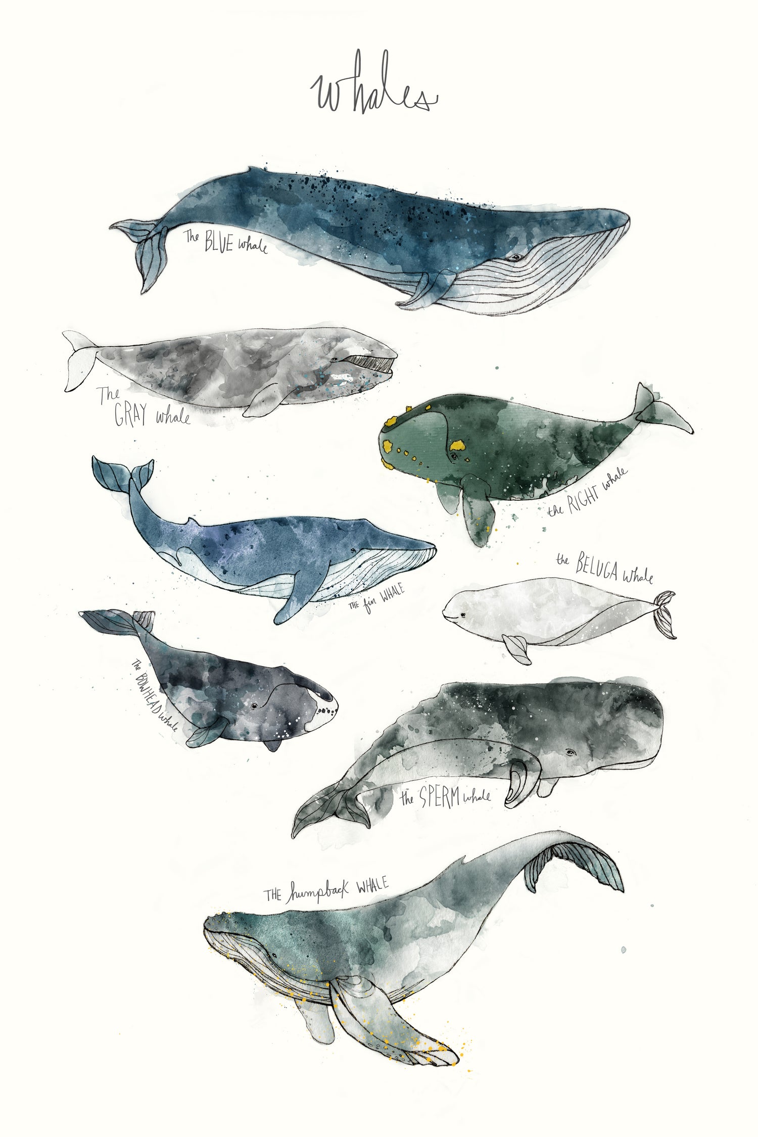 Whales by Amy Hamilton on GIANT ART - blue mixed media