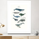 Whales by Amy Hamilton on GIANT ART - blue mixed media