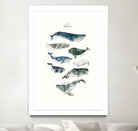 Whales by Amy Hamilton on GIANT ART - blue mixed media