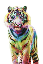 Le Tigre de Couleurs by Julien Kaltnecker on GIANT ART - digital drawing