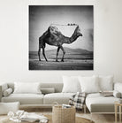 Camel Back by Sarah DeRemer on GIANT ART - gray photo manipulation