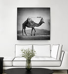 Camel Back by Sarah DeRemer on GIANT ART - gray photo manipulation