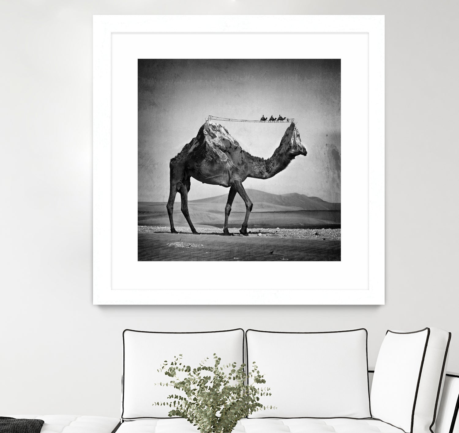 Camel Back by Sarah DeRemer on GIANT ART - gray photo manipulation