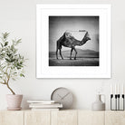 Camel Back by Sarah DeRemer on GIANT ART - gray photo manipulation