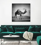 Camel Back by Sarah DeRemer on GIANT ART - gray photo manipulation