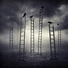 Staircrows by Sarolta Ban on GIANT ART - gray photo manipulation