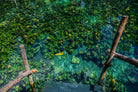 Cenote, Quintana Roo. Mexico by Maricela Castellanos on GIANT ART - green photo illustration