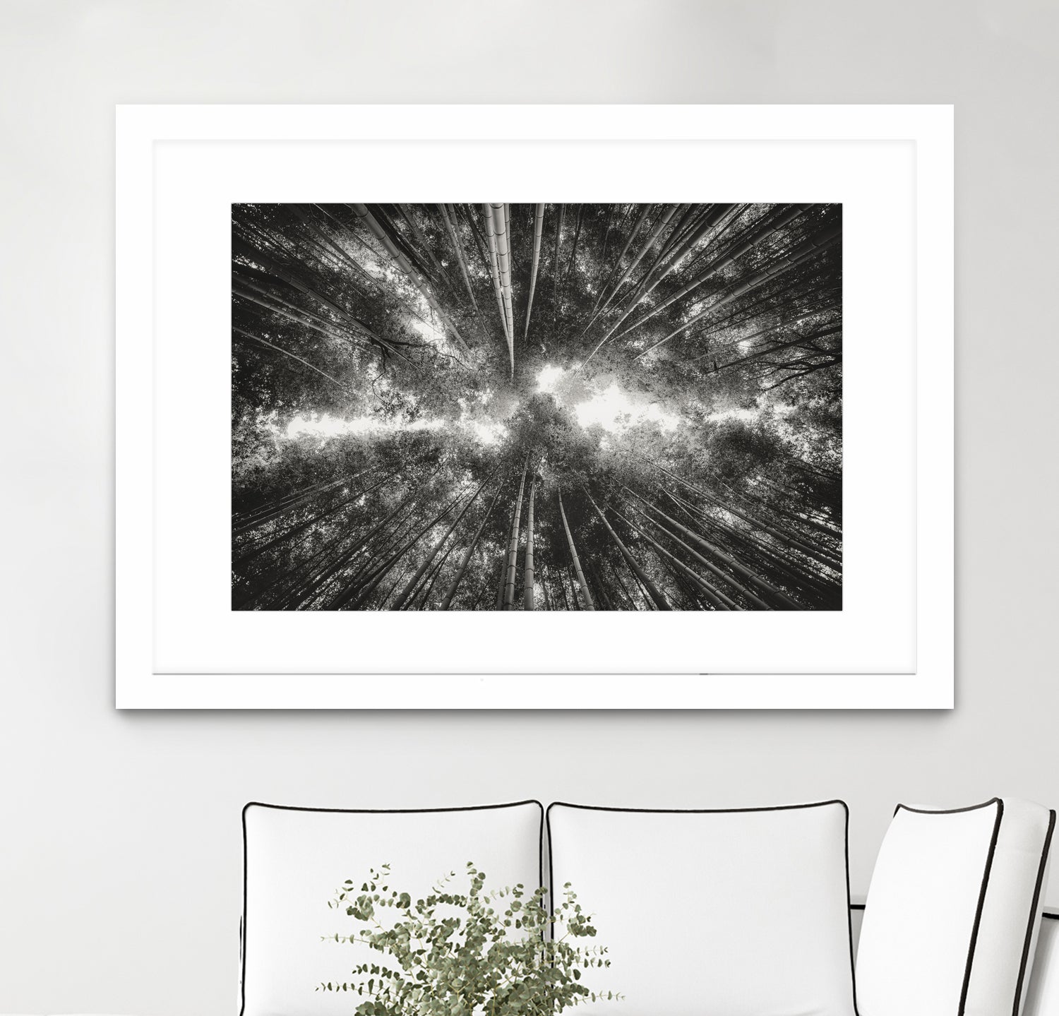 Bamboo Forest (black and white) by Pascal Deckarm on GIANT ART - black photo manipulation