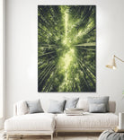 Bamboo Forest II by Pascal Deckarm on GIANT ART - green photo manipulation