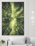 Bamboo Forest II by Pascal Deckarm on GIANT ART - green photo manipulation