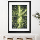 Bamboo Forest II by Pascal Deckarm on GIANT ART - green photo manipulation