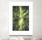 Bamboo Forest II by Pascal Deckarm on GIANT ART - green photo manipulation