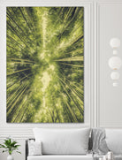 Bamboo Forest III by Pascal Deckarm on GIANT ART - green photo manipulation