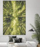 Bamboo Forest III by Pascal Deckarm on GIANT ART - green photo manipulation