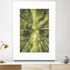 Bamboo Forest III by Pascal Deckarm on GIANT ART - green photo manipulation