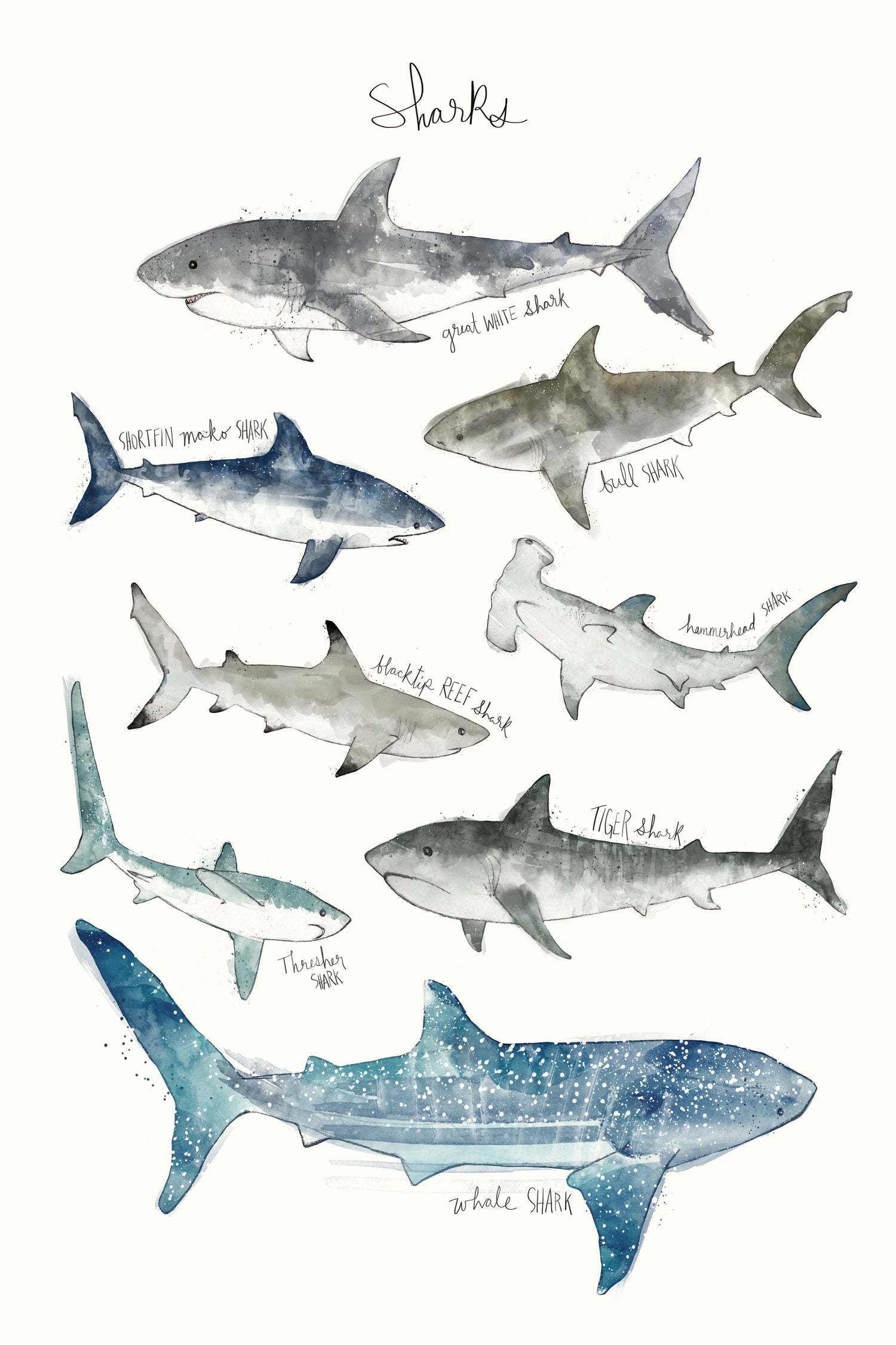 Sharks by Amy Hamilton on GIANT ART - blue mixed media