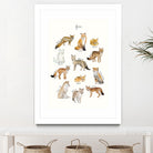 Foxes by Amy Hamilton on GIANT ART - brown mixed media