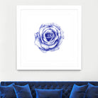 Ballpoint Blue Rose by Ronny Petrus Johannes Kools on GIANT ART - blue mixed media