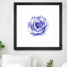 Ballpoint Blue Rose by Ronny Petrus Johannes Kools on GIANT ART - blue mixed media