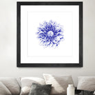 Ballpoint Blue Dahlia by Ronny Petrus Johannes Kools on GIANT ART - blue digital drawing