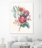 King protea flowers watercolor illustration by Two Lips on GIANT ART - pink digital drawing