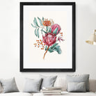 King protea flowers watercolor illustration by Two Lips on GIANT ART - pink digital drawing