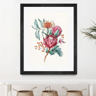 King protea flowers watercolor illustration by Two Lips on GIANT ART - pink digital drawing