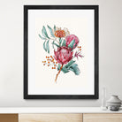 King protea flowers watercolor illustration by Two Lips on GIANT ART - pink digital drawing