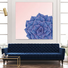 Big Echeveria Design by Brigitte Carre on GIANT ART - blue digital painting