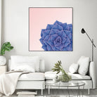 Big Echeveria Design by Brigitte Carre on GIANT ART - blue digital painting