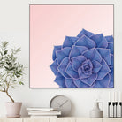 Big Echeveria Design by Brigitte Carre on GIANT ART - blue digital painting