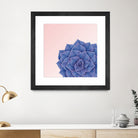 Big Echeveria Design by Brigitte Carre on GIANT ART - blue digital painting