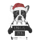 Xmas is coming by Solti Balázs on GIANT ART - white digital drawing