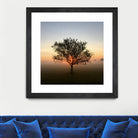 Tree at Sunrise Sunrise by Brian Sooy on GIANT ART - orange photo illustration