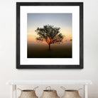 Tree at Sunrise Sunrise by Brian Sooy on GIANT ART - orange photo illustration