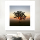 Tree at Sunrise Sunrise by Brian Sooy on GIANT ART - orange photo illustration