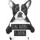 Being normal is boring by Solti Balázs on GIANT ART - white digital drawing